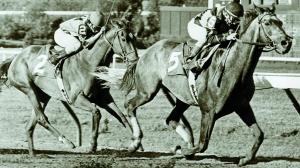 Spectacular Bid defeats Glorioius Song in the 1980 Haskell Handicap.